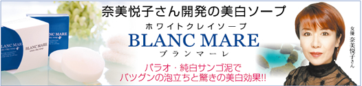 �z���C�g�N���C�\�[�v �u�����}�[��