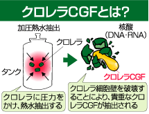 唞t `̓@