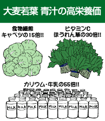 唞t `̓@